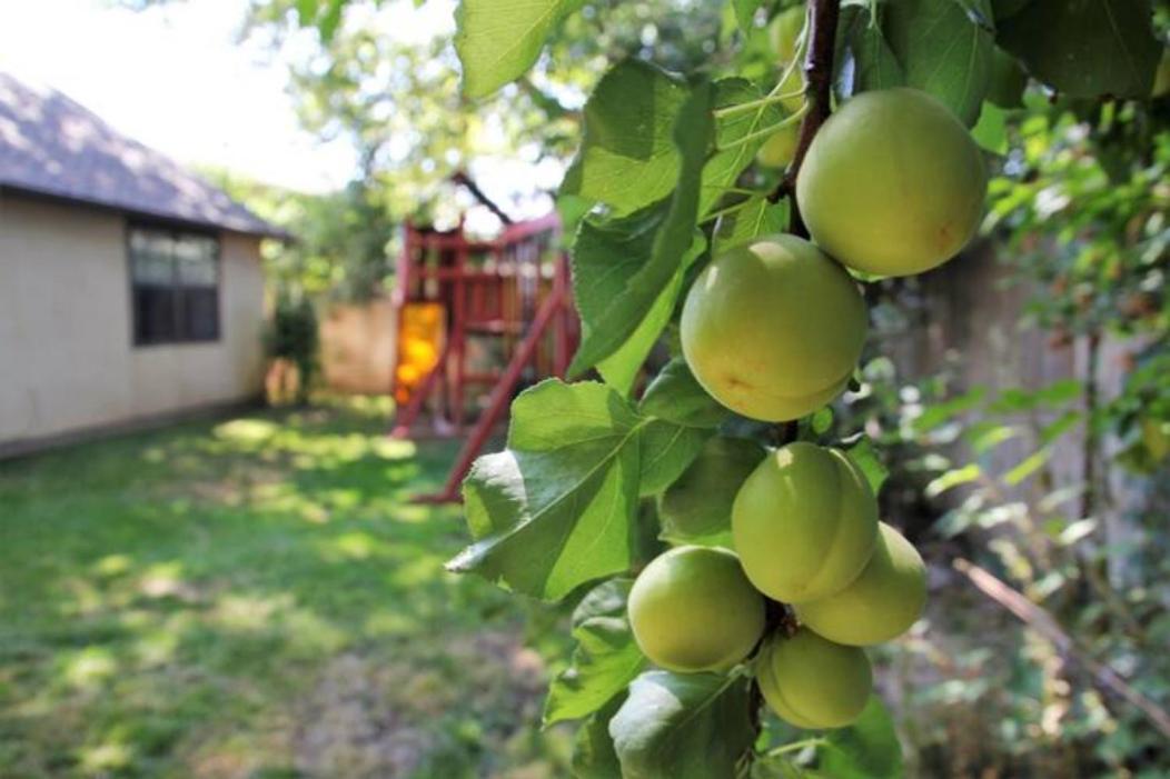 Experience Nirvana With Artwork Collections From Around The Globe Located In Lakewood Neighborhood In Se Boise Next To A Park, Minutes From Bown Crossing And The Boise River, 10 Minutes To Downtown, 4 Beds, Sleeps 8, Pets Welcome In Large Fenced In Y Buitenkant foto